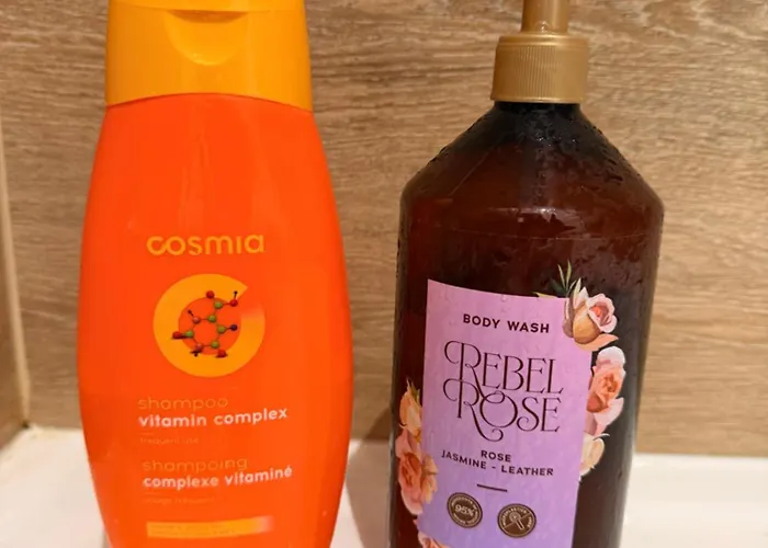 Le Graoully 1 * Metz